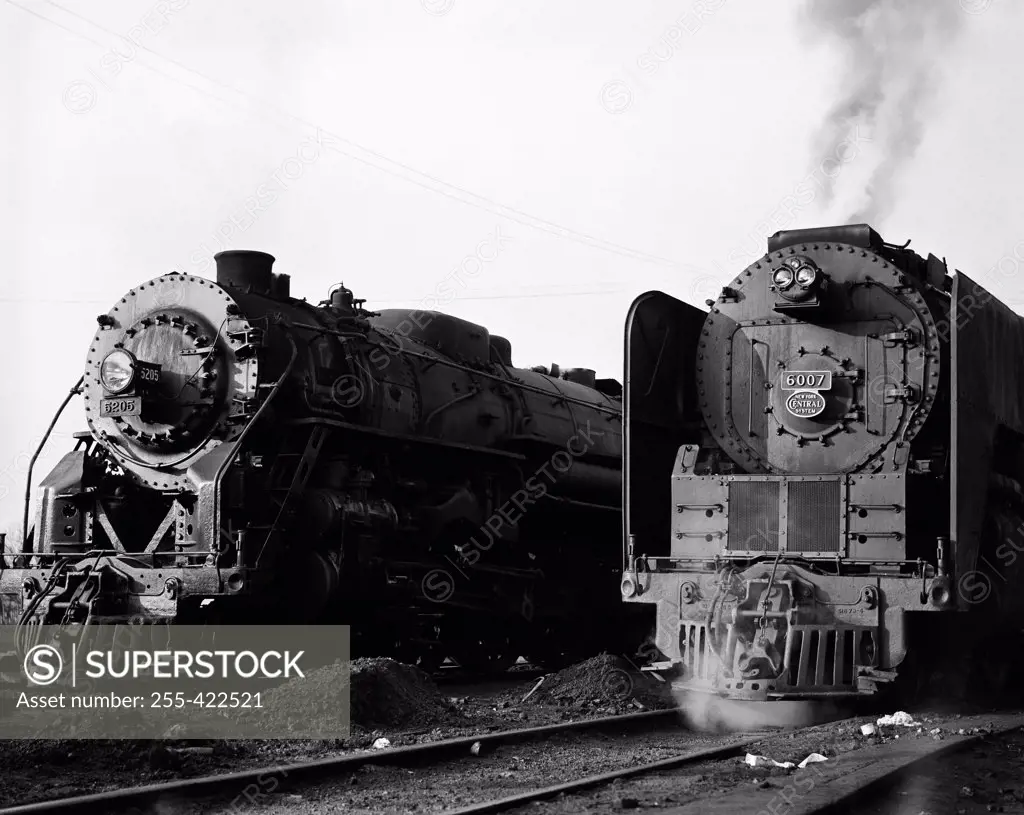 Steam Locomotives on side track