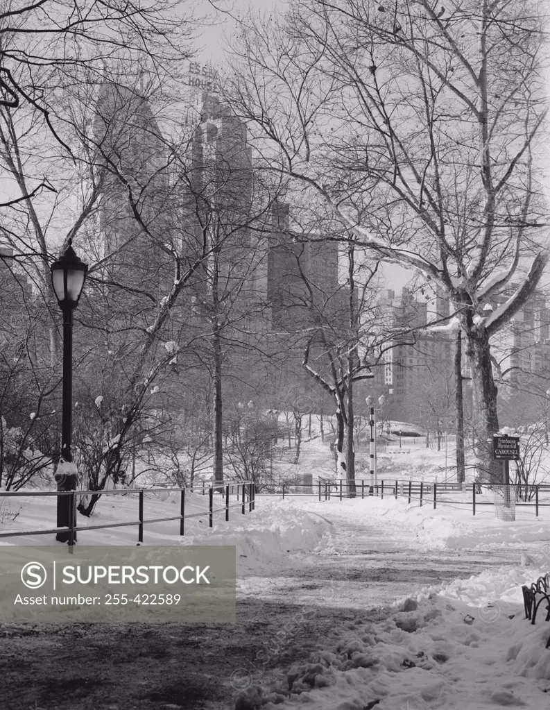 USA, New York City, Manhattan, Central Park, winter