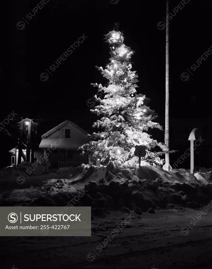 USA, New Hampshire, Jefferson, Christmas tree at night