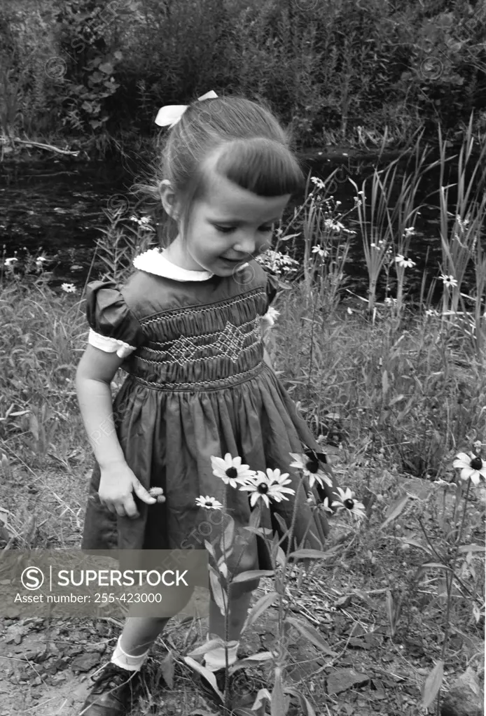 Girl picking up daises