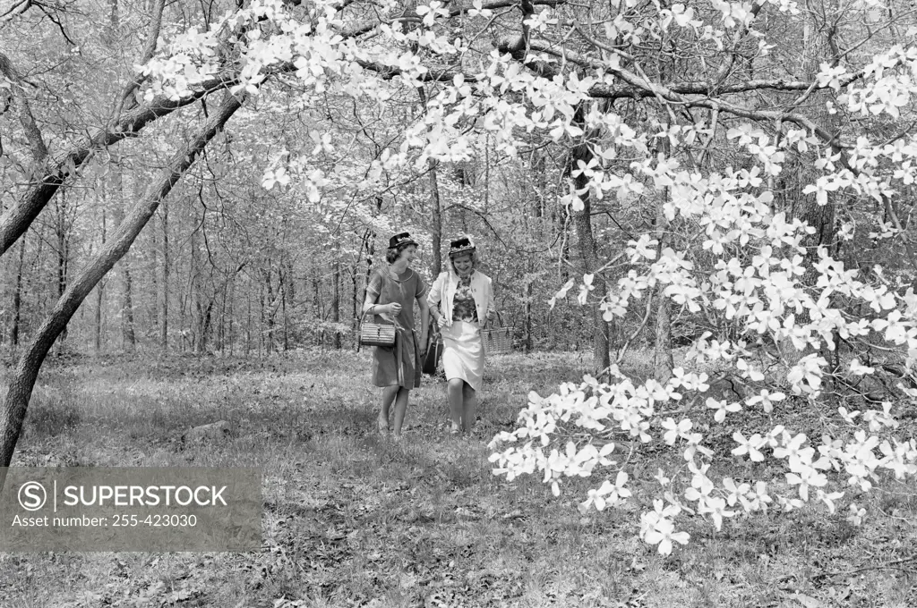 Two women walking in spring scenery