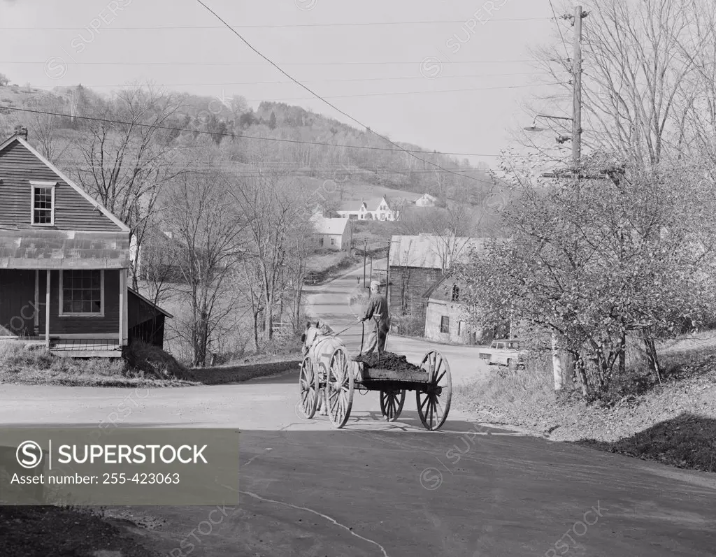 USA, Vermont, East Topshon, Farmer driving wagon through town