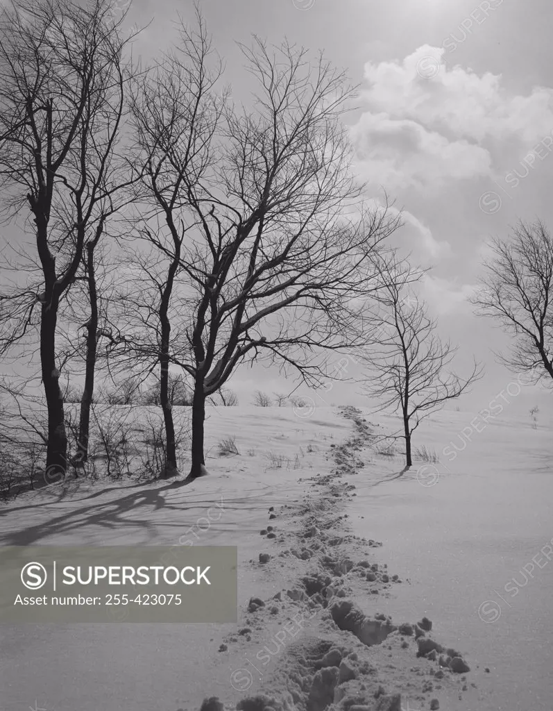 USA, New Jersey, Patterson, Rural scene in winter