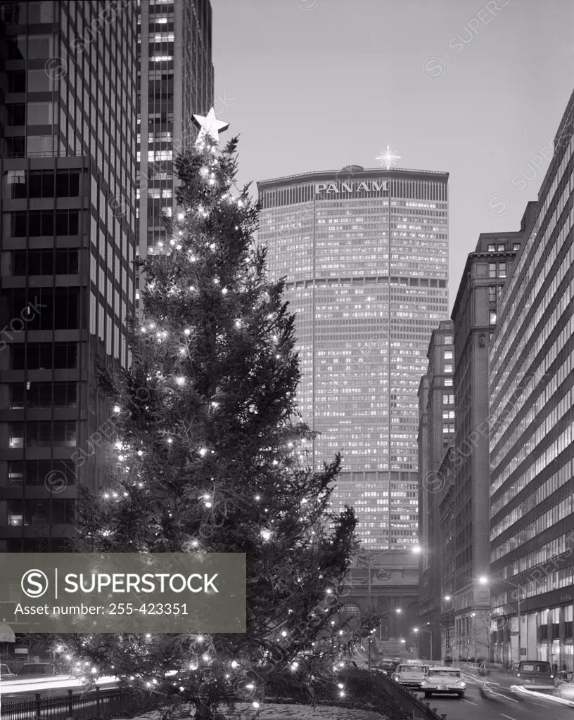 USA, New York City, Park Avenue, Street scene with Christmas tree