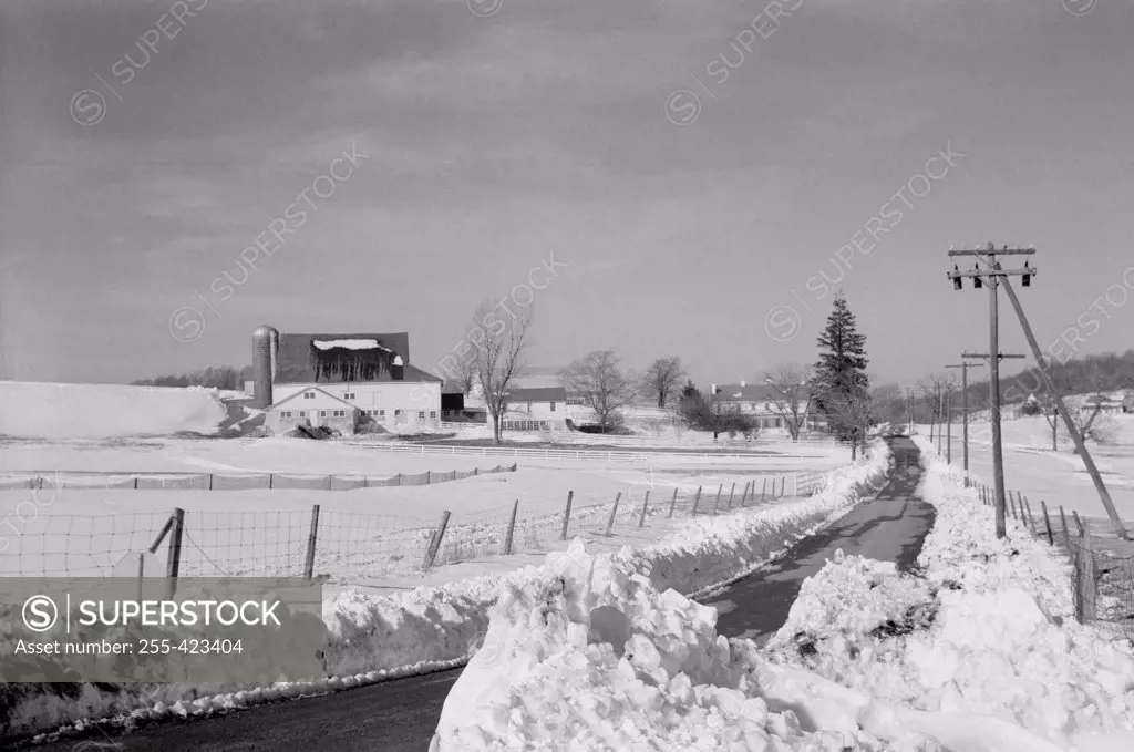 USA, Pennsylvania, Road through snow covered fields