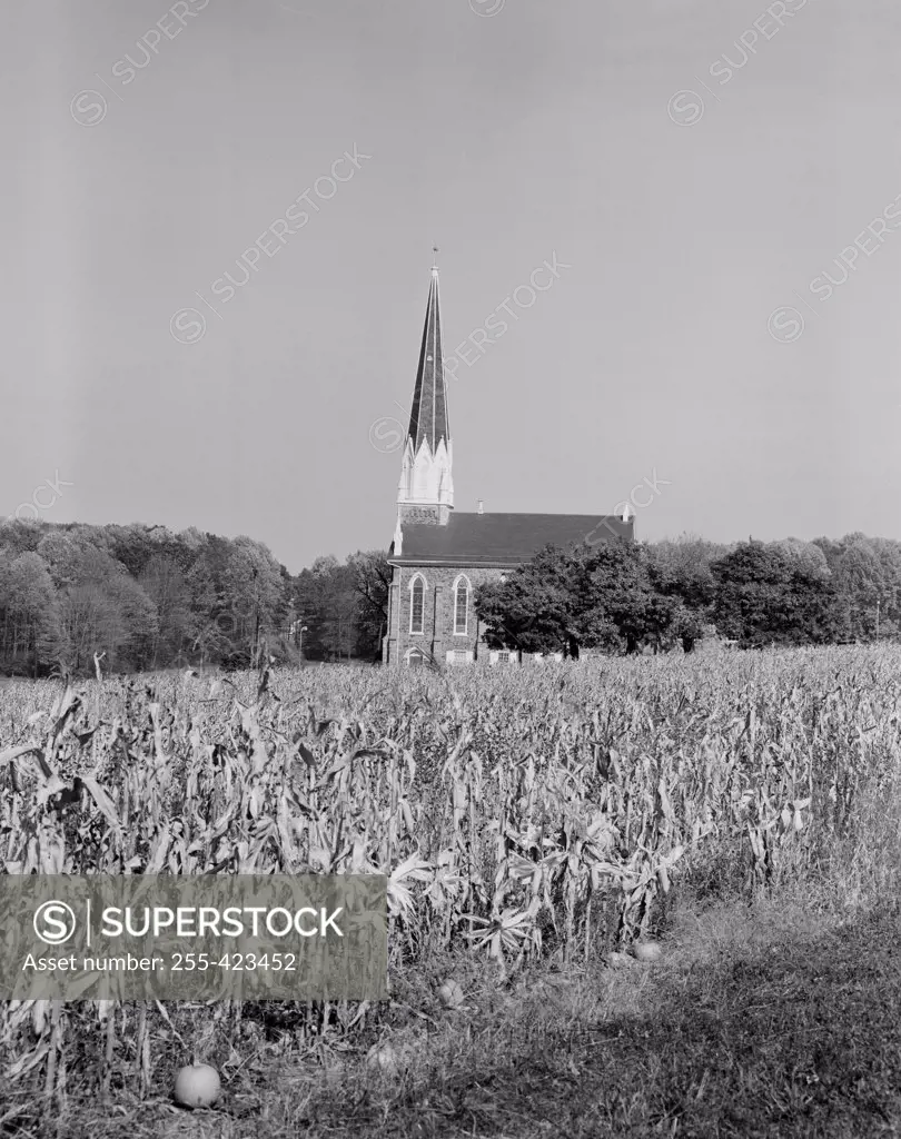 USA, New England, field and church