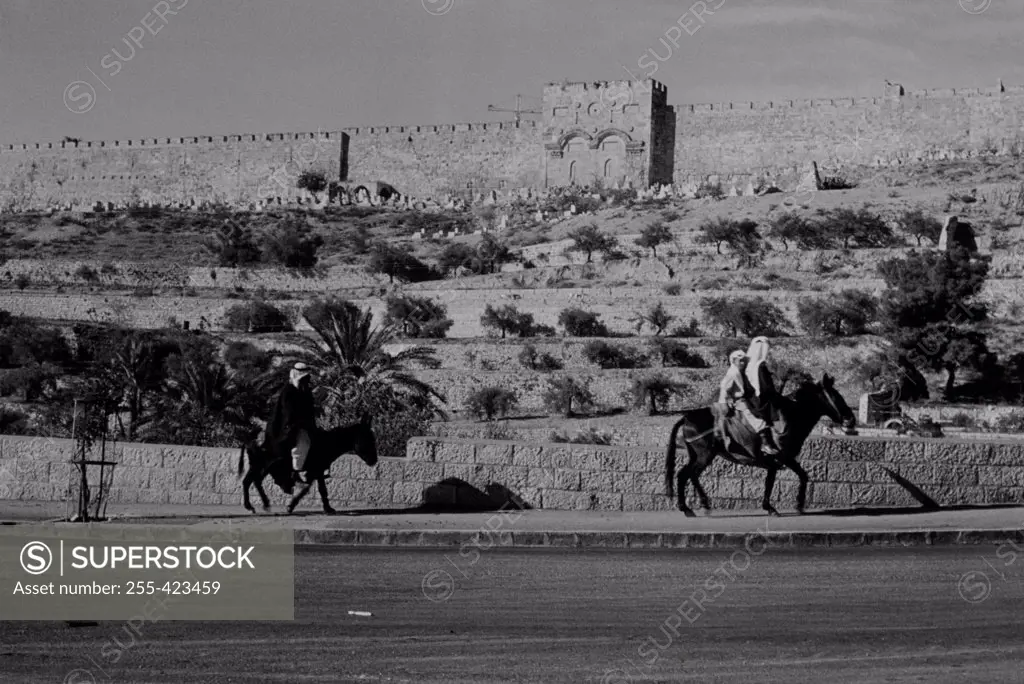 Jordan, people travelling on donkeys