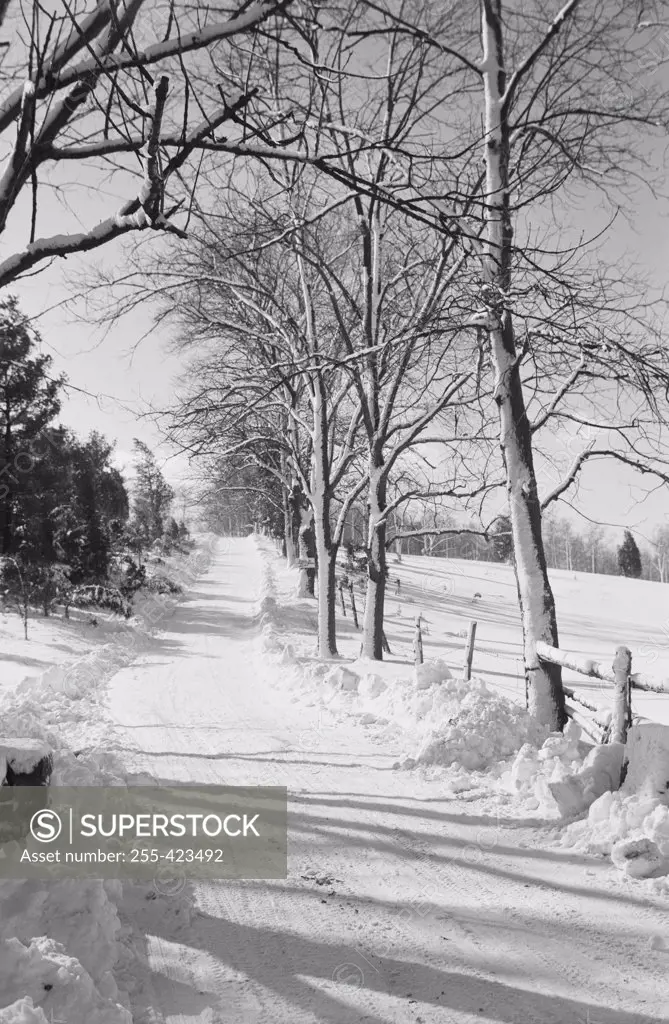 Rural road in winter
