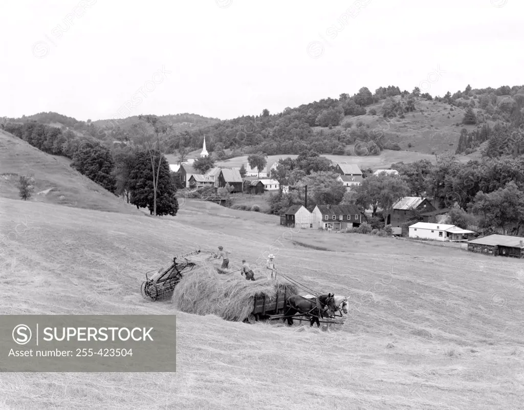 USA, Vermont, East Corinth, farmers on field during harvest