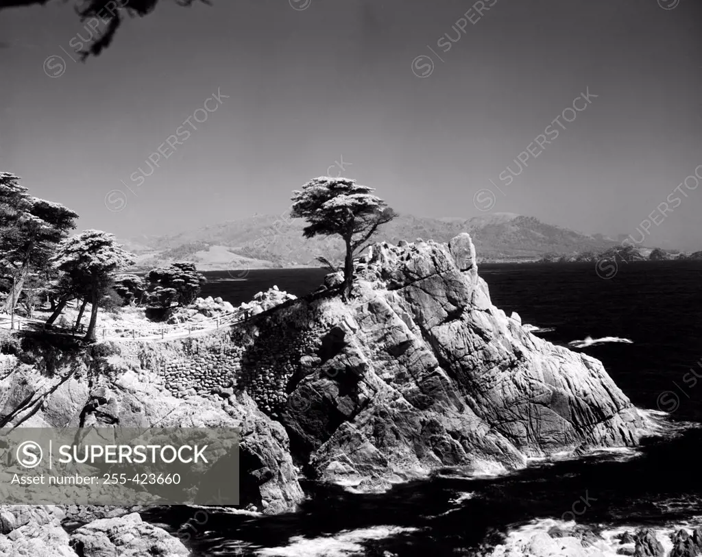 USA, California, Monterey, Scenic landscape