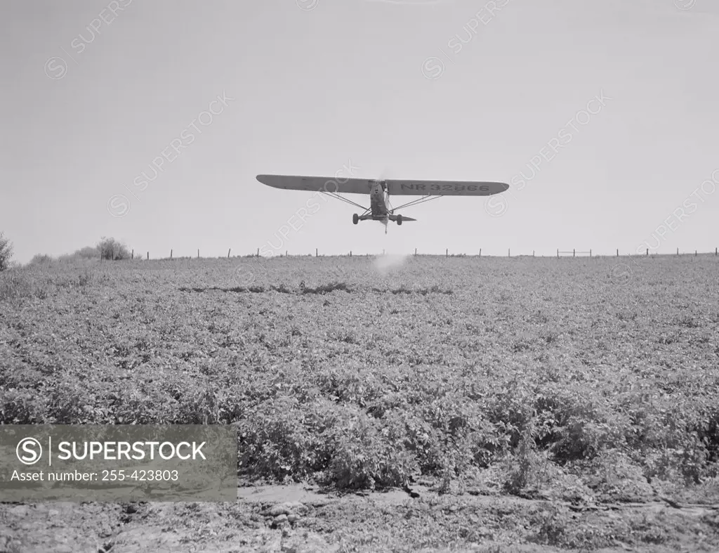 USA,  Washington, Yakima , potato dusting by plane