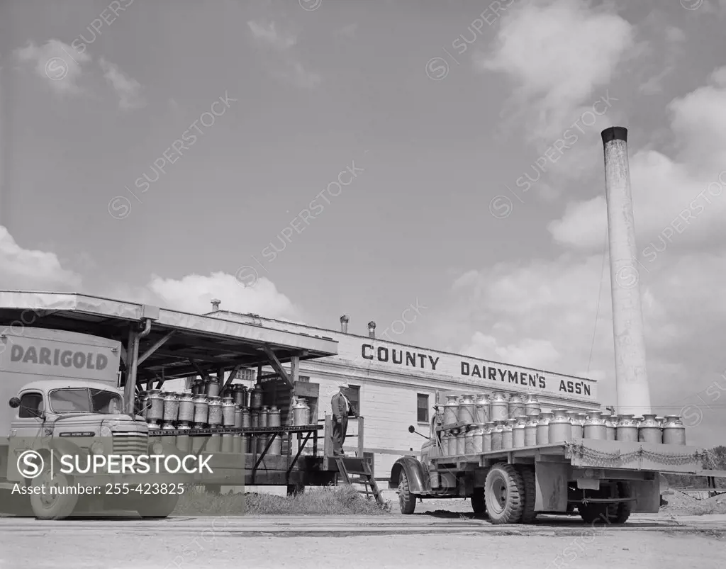 USA, Washington, Mount Vernon, Skagit, milk plants with milk cans on trucks