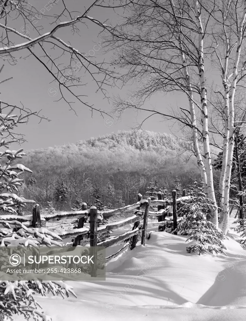 USA, New Hampshire, Winter landscape