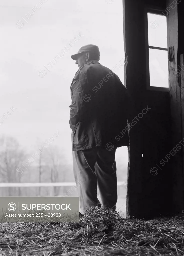 Farmer looking out of barn