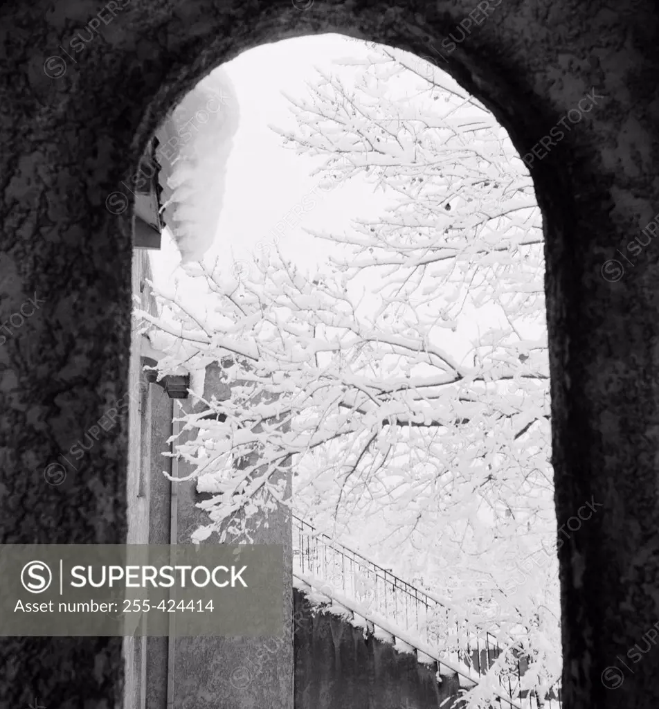 USA, New Mexico, snow-covered branches behind arched gate