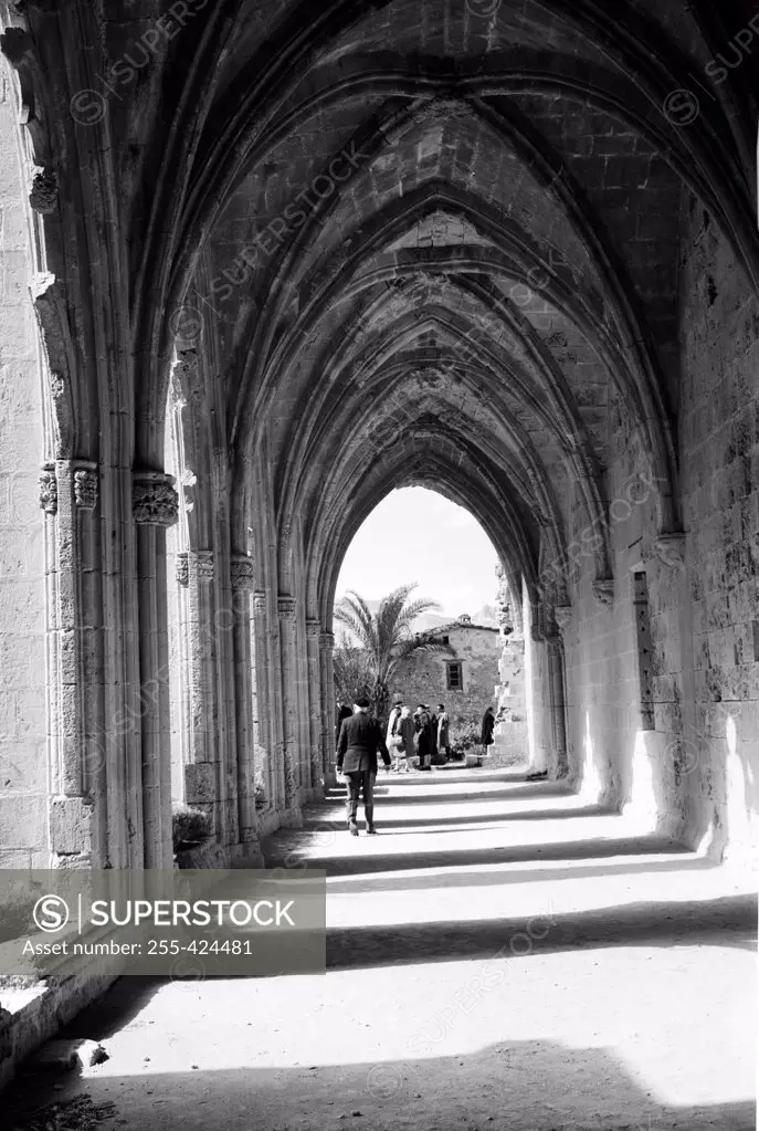 Cyprus, Bellapais Abbey, cloister