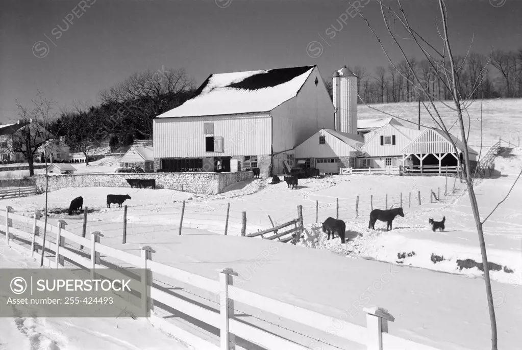 USA, Pennsylvania, farm in winter