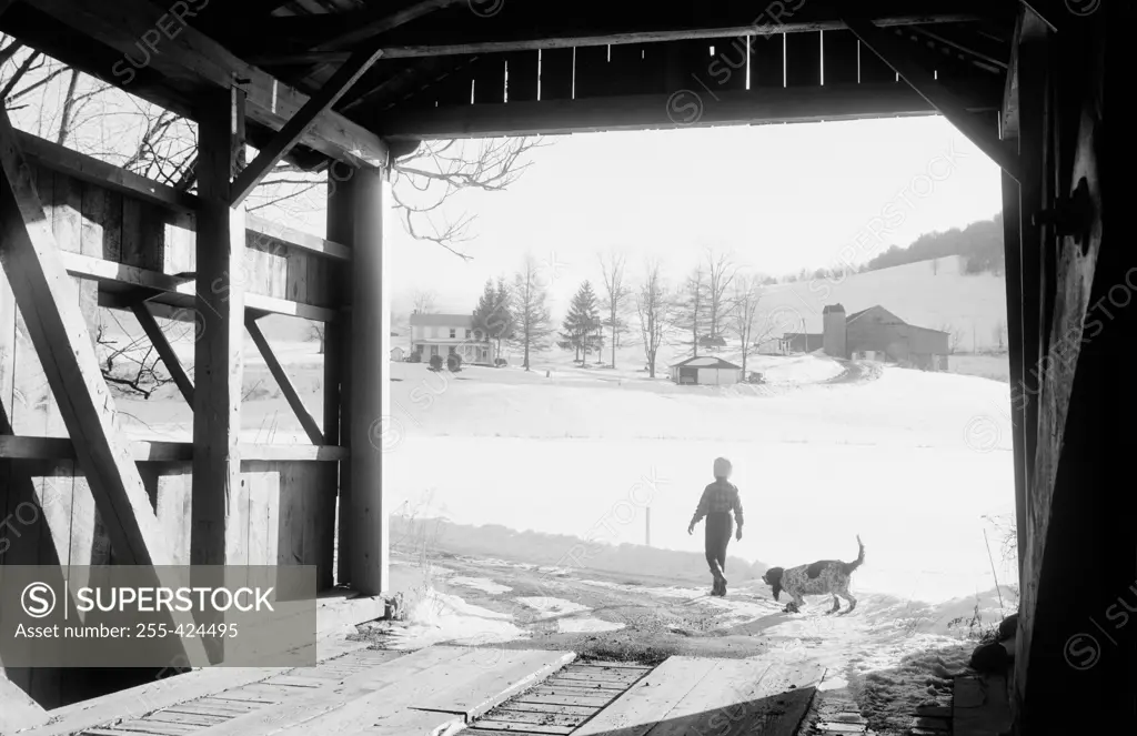 USA, Pennsylvania, Columbia County, Orangeville, silhouette of boy and dog near covered bridge