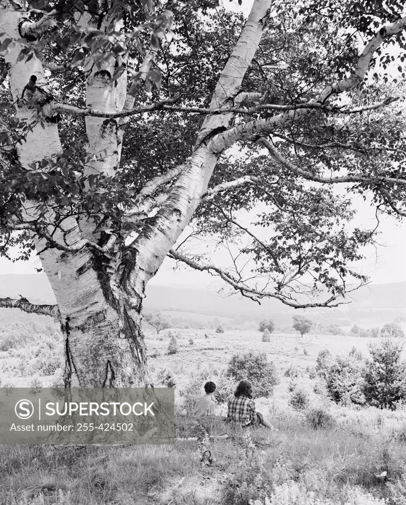 USA, Vermont, Saxton River, two women sitting under huge birch