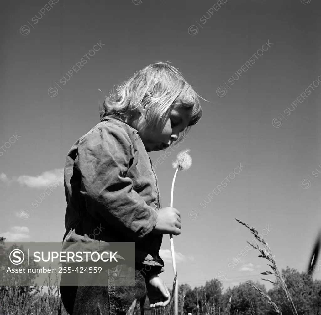 Girl blowing dandelion head
