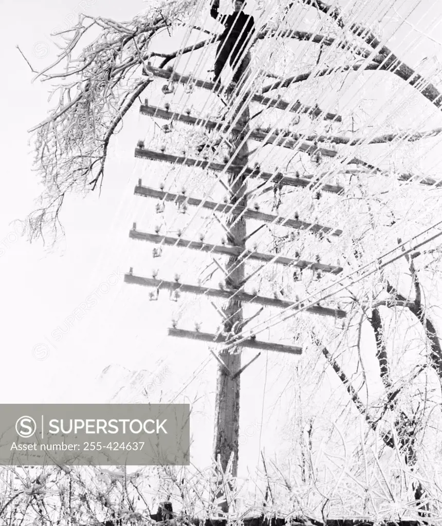 Lineman clearing branches of ice laden tree from telephone and telegraph lines