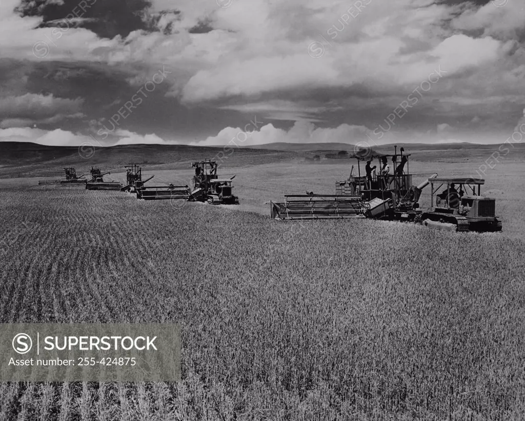 USA, Oregon, Pendleton, combine harvesters in field