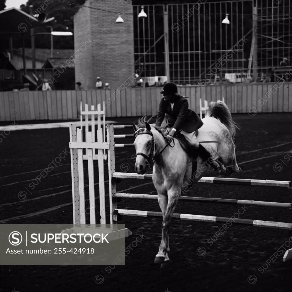 Horse and rider at show jumping event
