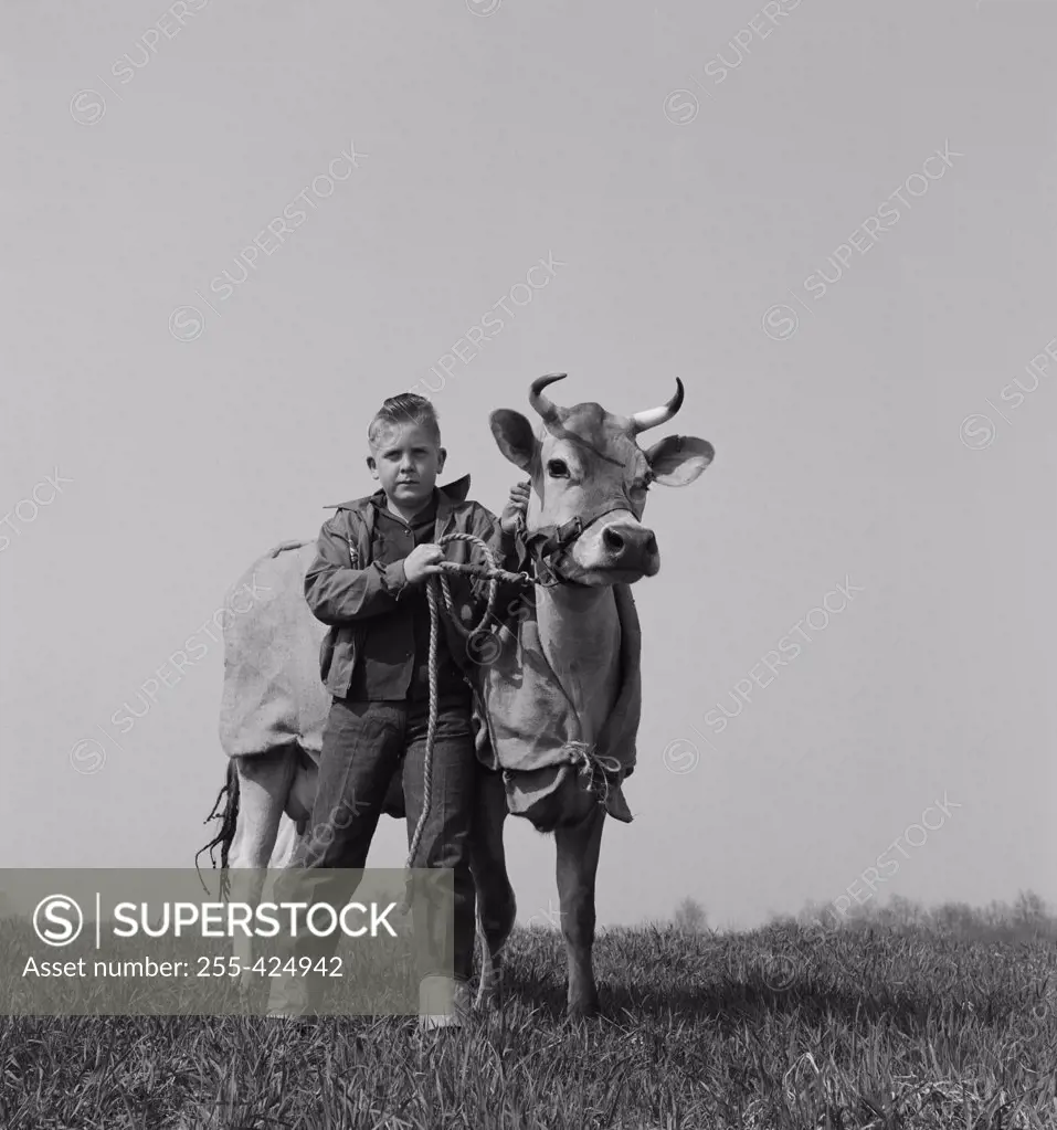 Portrait of boy with cow in field