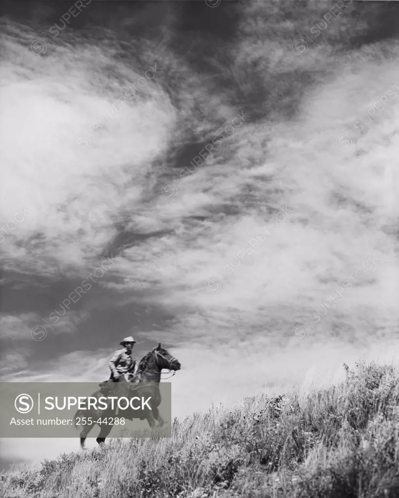 Low angle view of cowboy riding on horse