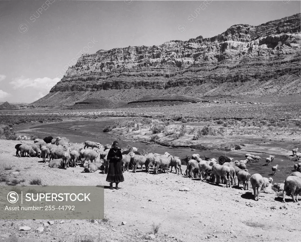 USA, Arizona, Marble Canyon, Navajo girl standing near flock of sheep