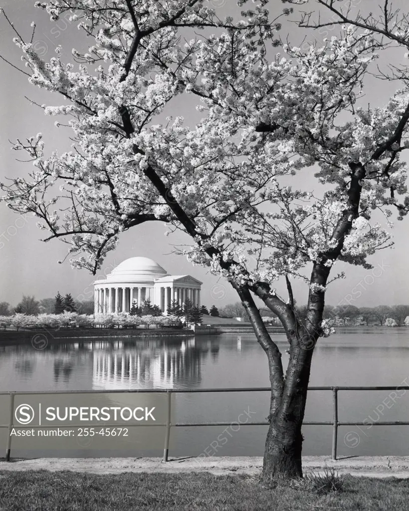 USA, Washington DC, Reflection of Jefferson Memorial in water