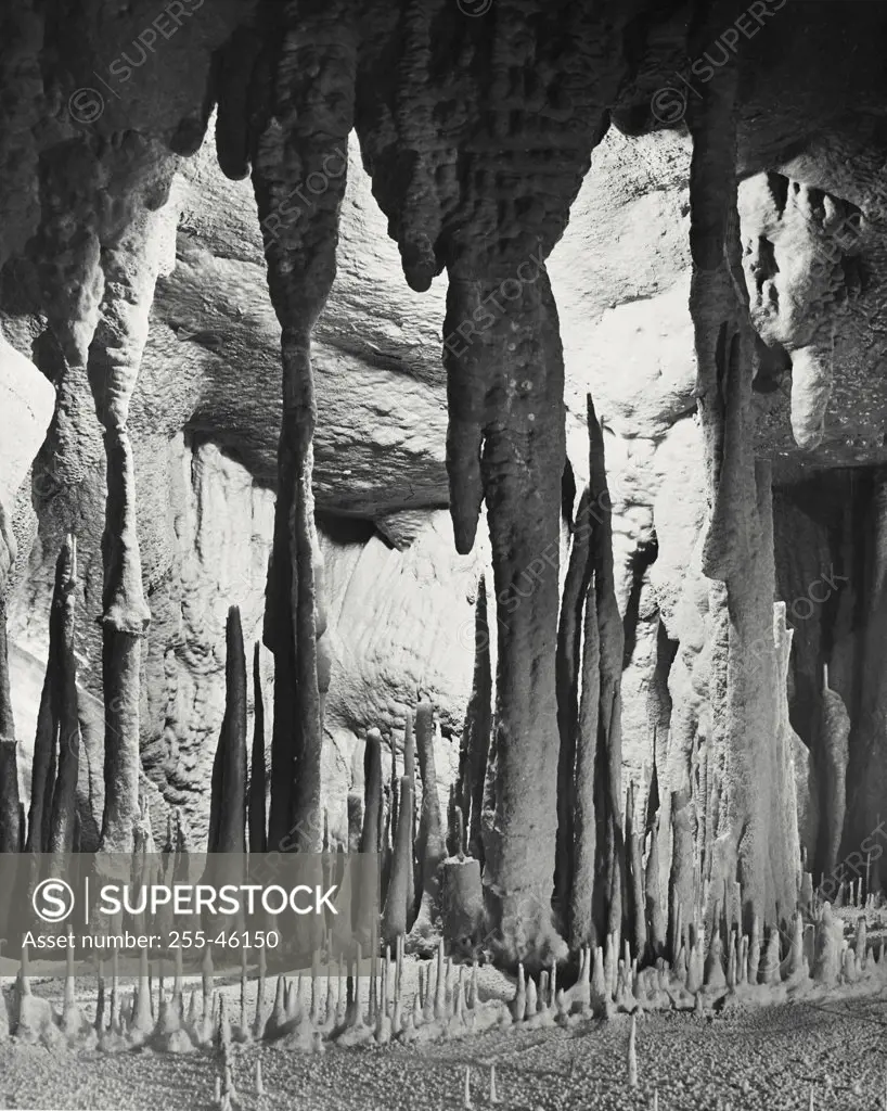 Vintage photograph. The "Lions Cage" in Mammoth Cave - Intricate forms are created in the stalactites and stalagmites, some fusing into columns as the formations meet. Stalactites are formed when limestone solution (Calcium carbonate) forms in droplets on the ceiling, evaporation leaving the calcium carbonate deposited. It is estimated that it requires one hundred years to form a cubic inch of this cave onyx