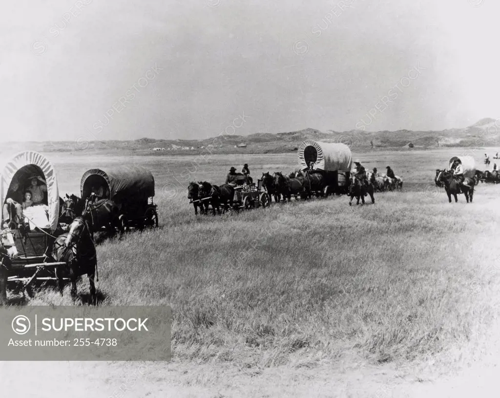 Covered wagons moving across the plains