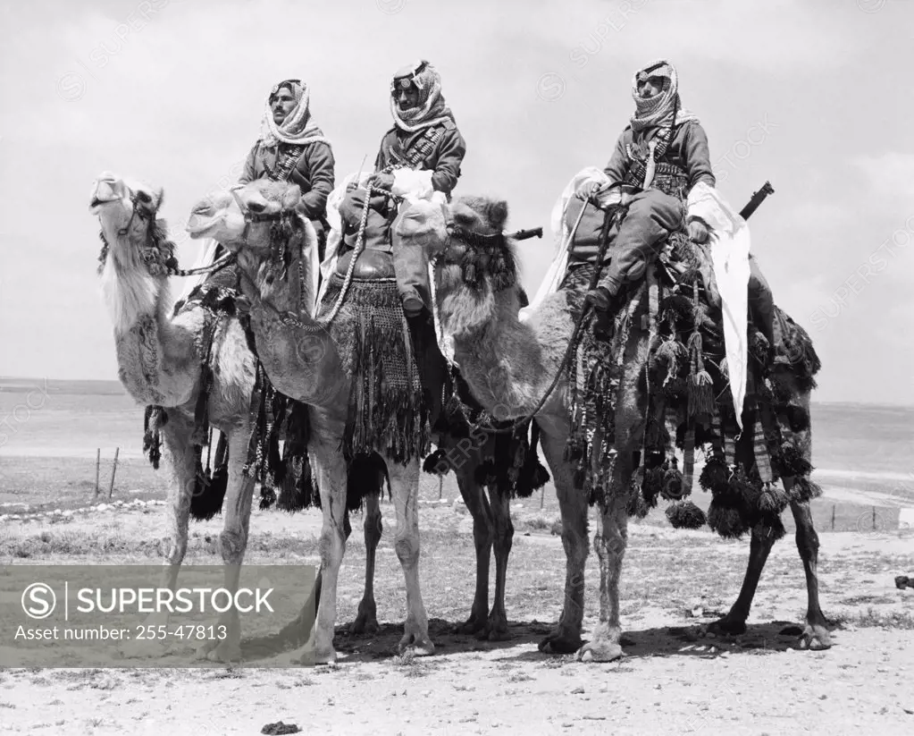 Police officers sitting on camels in a desert, Jordan