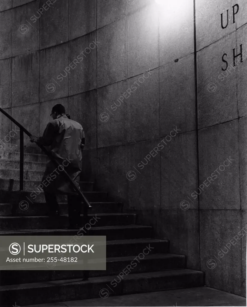 Rear view of a businessman climbing up stairs