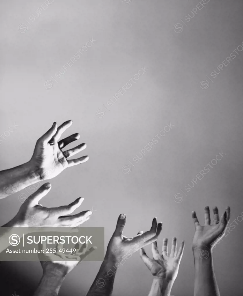 Group of people with their hand raised