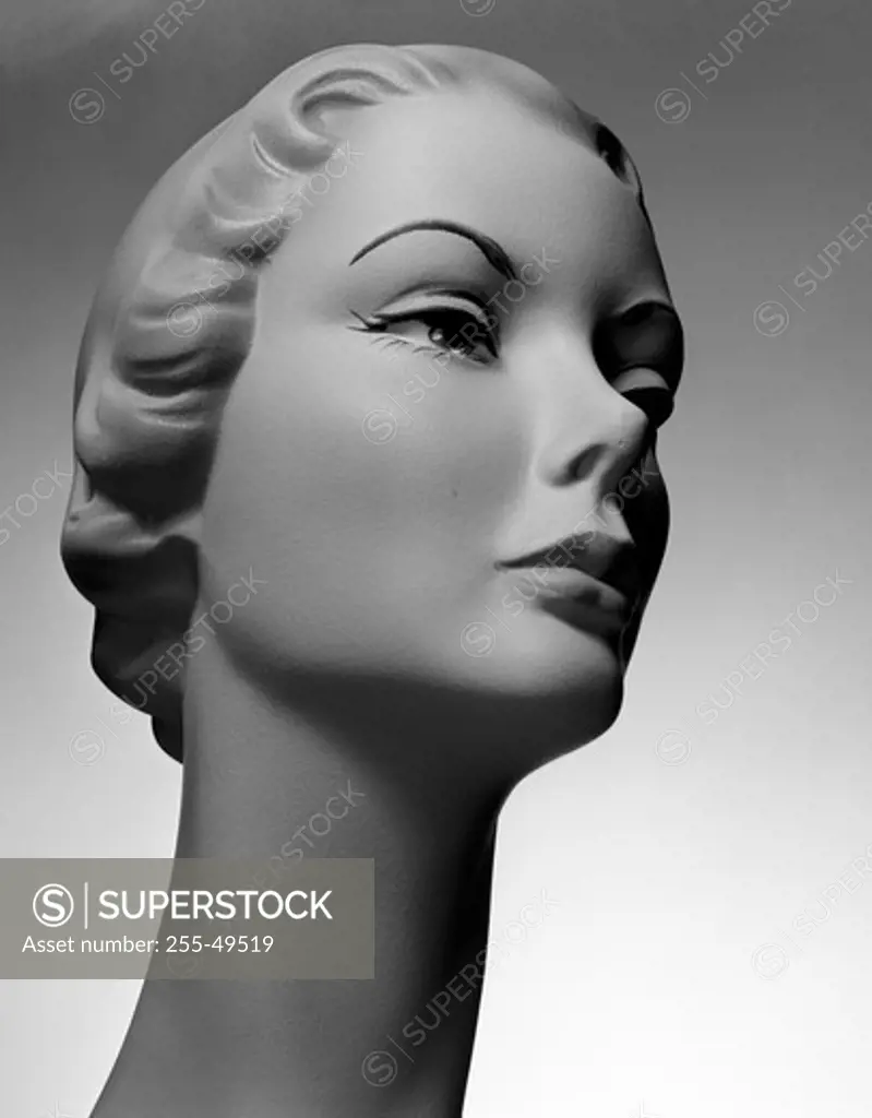 Mannequin head