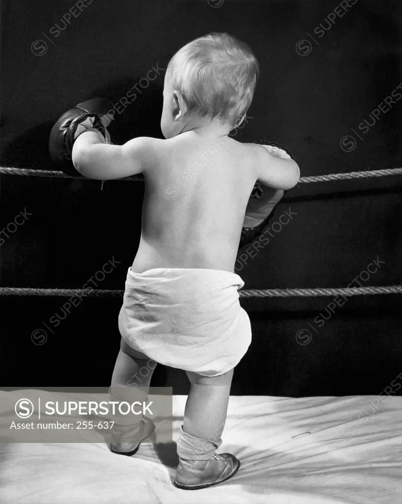 Rear view of a baby standing in a boxing ring