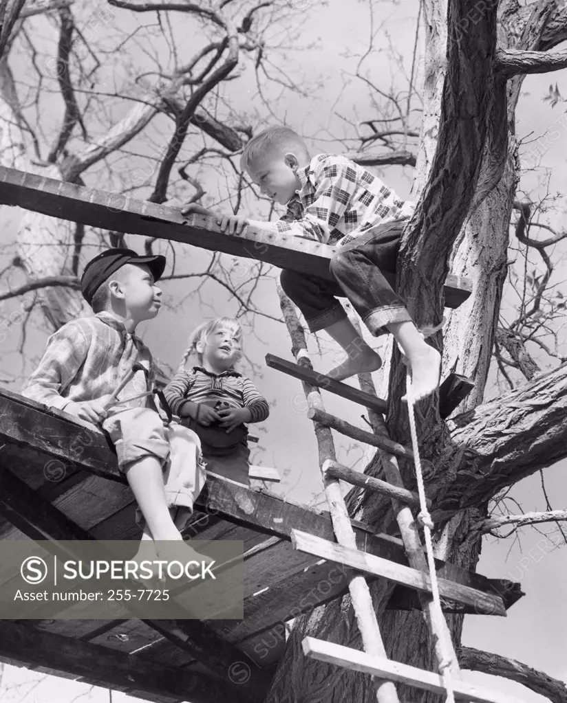Three children playing in tree house