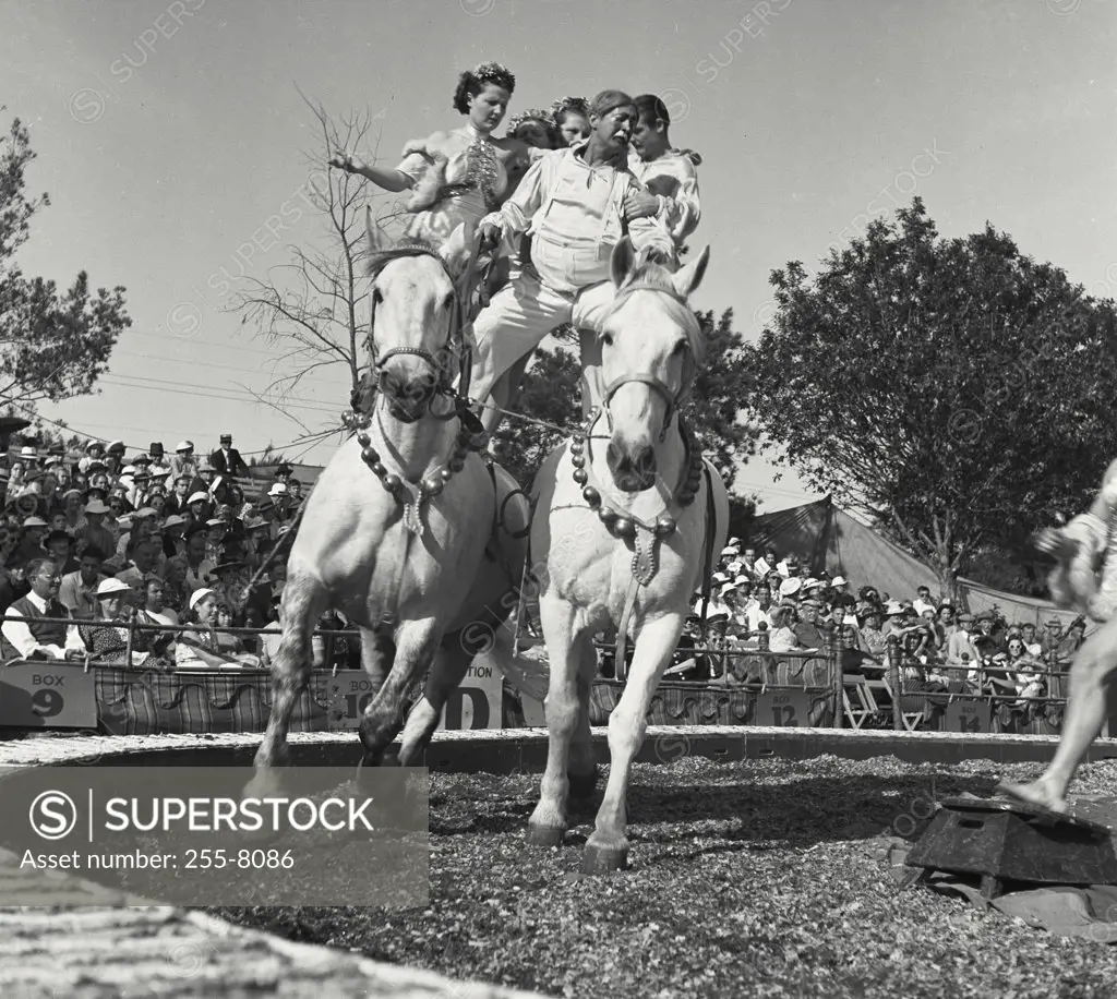 Vintage photograph. Circus acrobats riding pair of horses