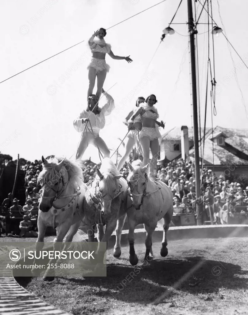 Acrobats performing in a circus