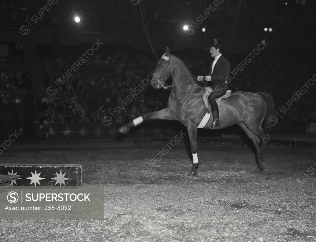 Vintage Photograph. Rider seated on horse doing dance step, Barnum Bailey-Ringling Brothers Circus