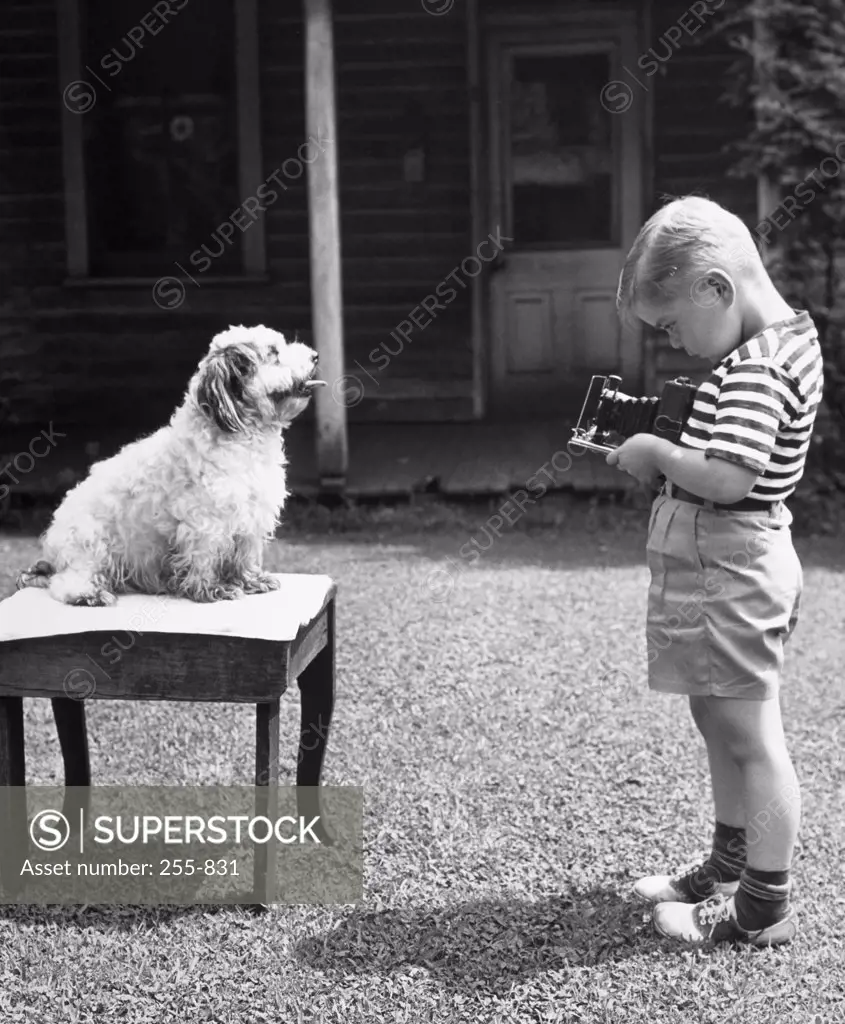 Side profile of boy taking photograph of his dog