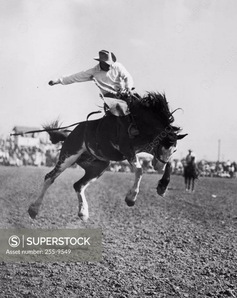 Cowboy riding a bucking horse at a rodeo