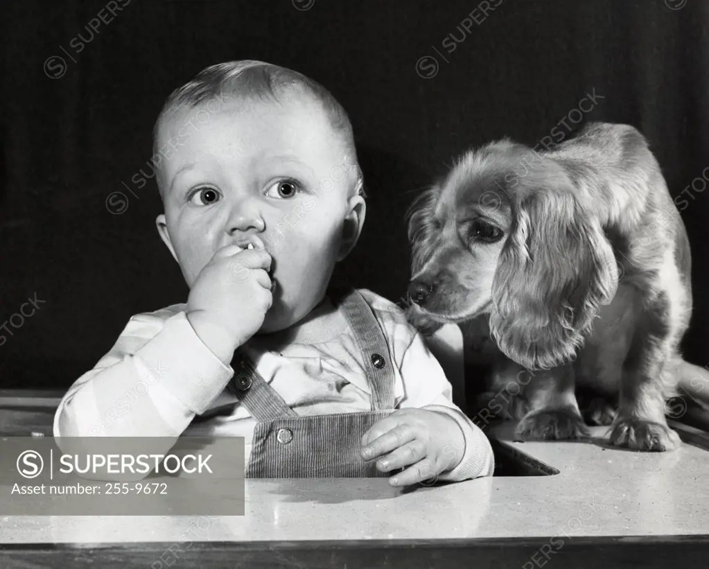 Close-up of a baby boy with a dog