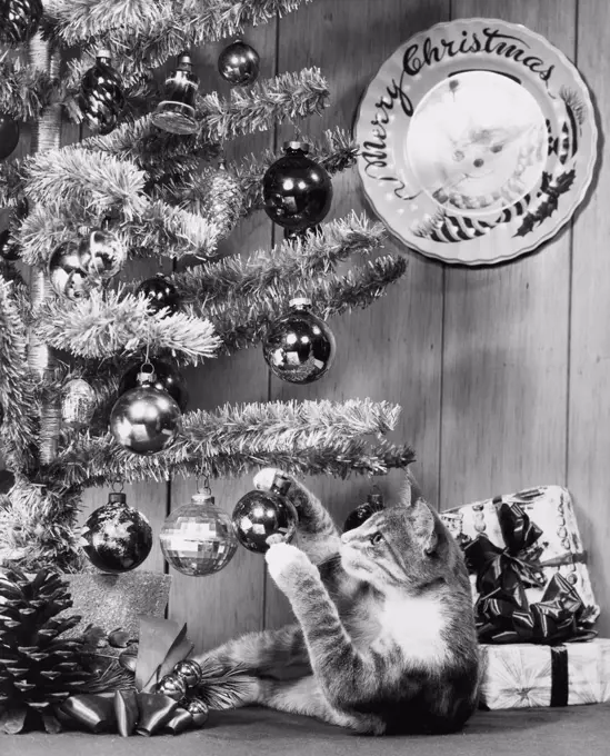 Close-up of a cat playing with a Christmas ornament on a Christmas tree
