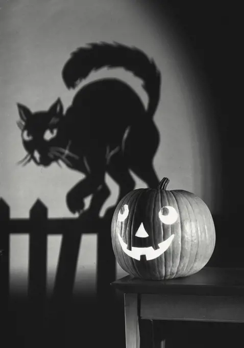 Vintage photograph. Jack o' Lantern with shadow of cat on fence
