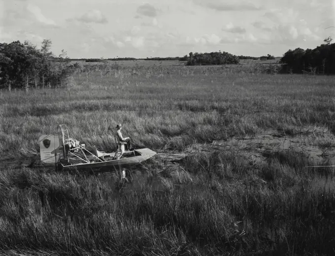 Vintage Photograph. Air boat in the Florida Everglades.