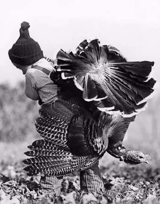 Rear view of a boy carrying a turkey