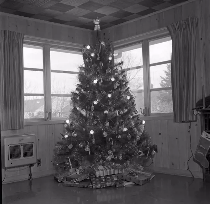 Christmas tree in the corner of living room